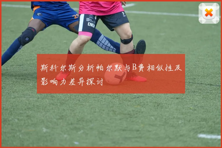斯科尔斯分析帕尔默与B费相似性及影响力差异探讨