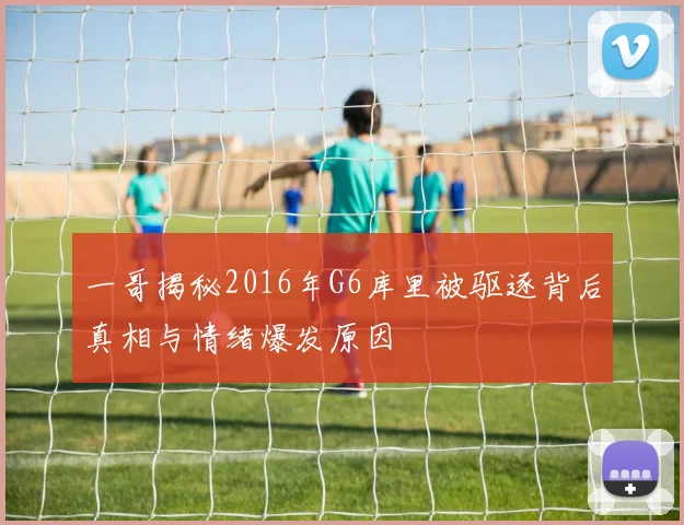 一哥揭秘2016年G6库里被驱逐背后真相与情绪爆发原因