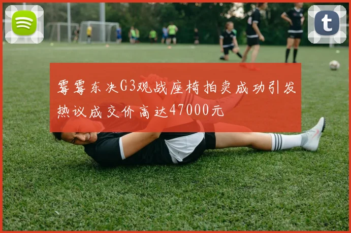 霉霉东决G3观战座椅拍卖成功引发热议成交价高达47000元