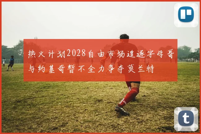 热火计划2028自由市场追逐字母哥与约基奇暂不全力争夺莫兰特