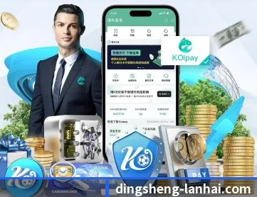 鼎盛娱乐 APP 深度功能
